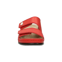 Big Leaf Slipper Rood