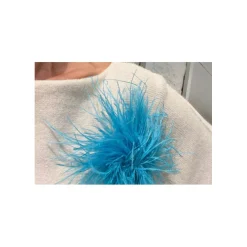 Broche Blauw