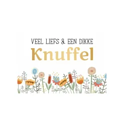 Daisy Wenskaart Multicolour