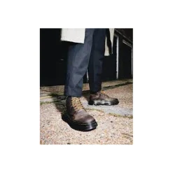 Dr.martens Veterbottine Bruin