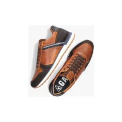 Gaastra Lage sneaker Cognac