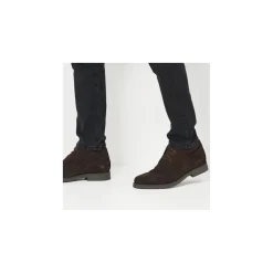 Geox Veterbottine Bruin