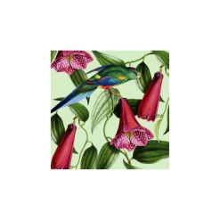 Hallmark Wenskaart Multicolour