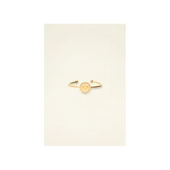 My Jewellery Ring / oorring Goud