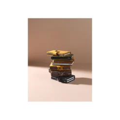 Secrid Kaarthouder Bruin