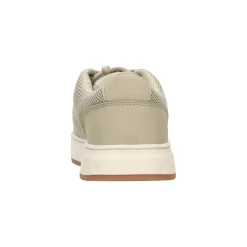 Timberland Lage sneaker Beige